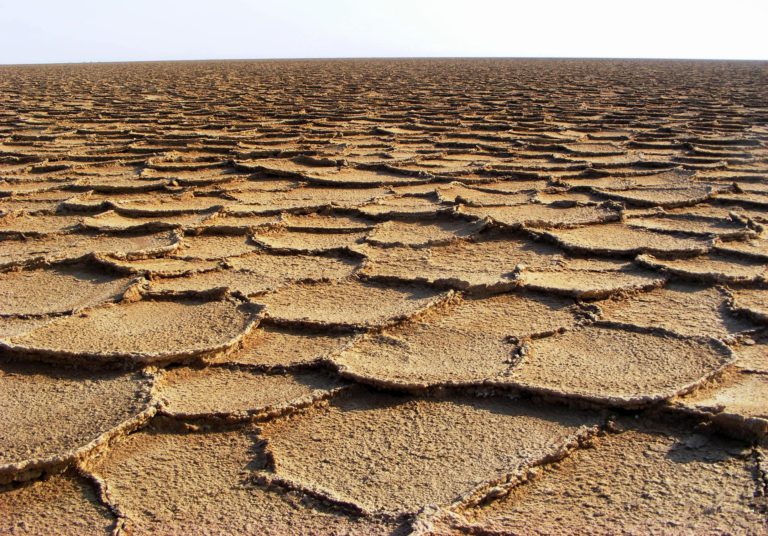 ABD ‘mega kuraklık’ dönemine girebilir
