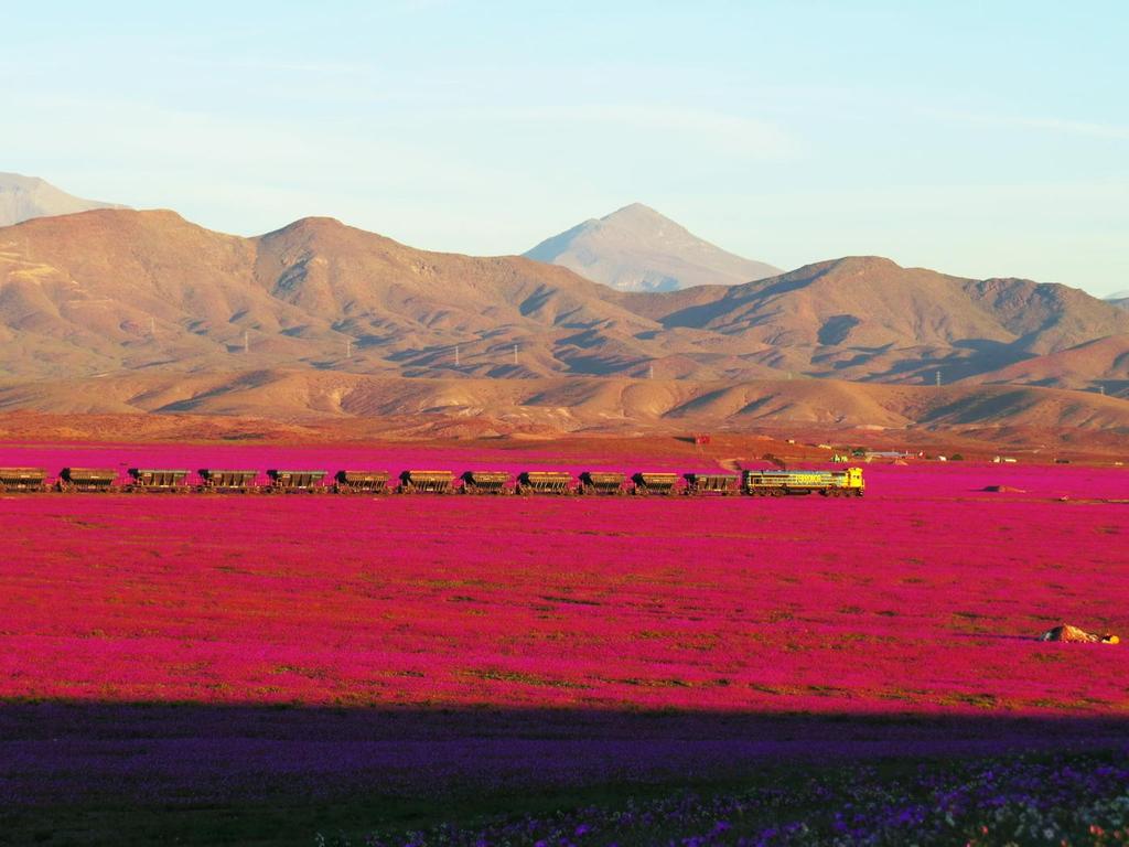 atacama0005