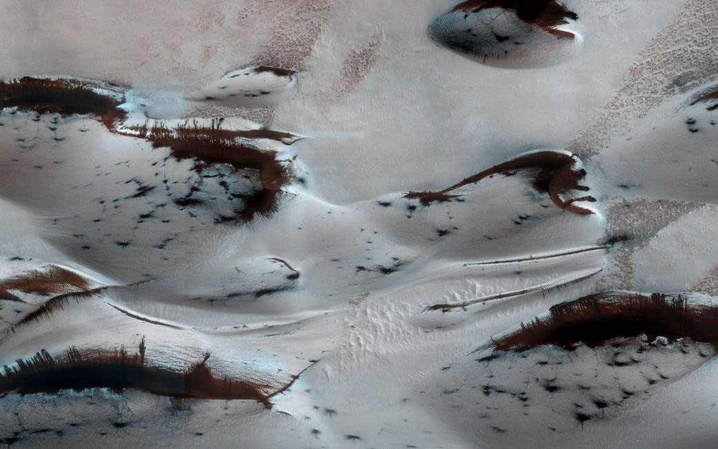 Mars Yörünge Kaşifi (MRO) tarafından Mart 2014'te çekilen fotoğraf, Mars tepelerinde yazın yaklaşmasıyla çözülmeye başlayan katı karbonsioksiti gösteriyor. Bitki örtüsüne benzeyen yapılar donmuş CO2'i gösteriyor. [NASA]