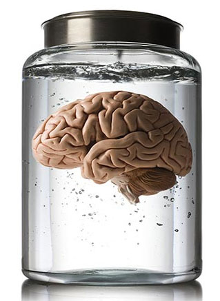 human brain 002
