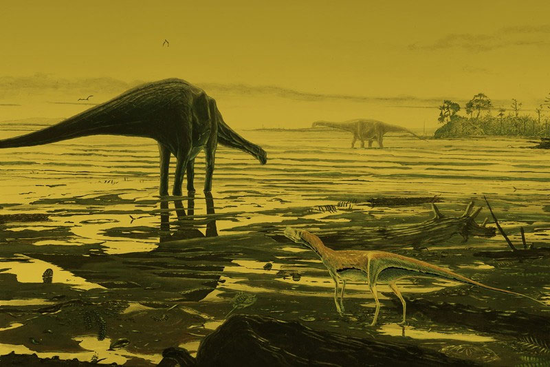 Dinozorlara ait 170 milyon yıllık ayak izleri