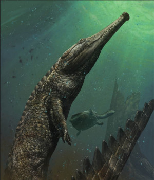 m rex