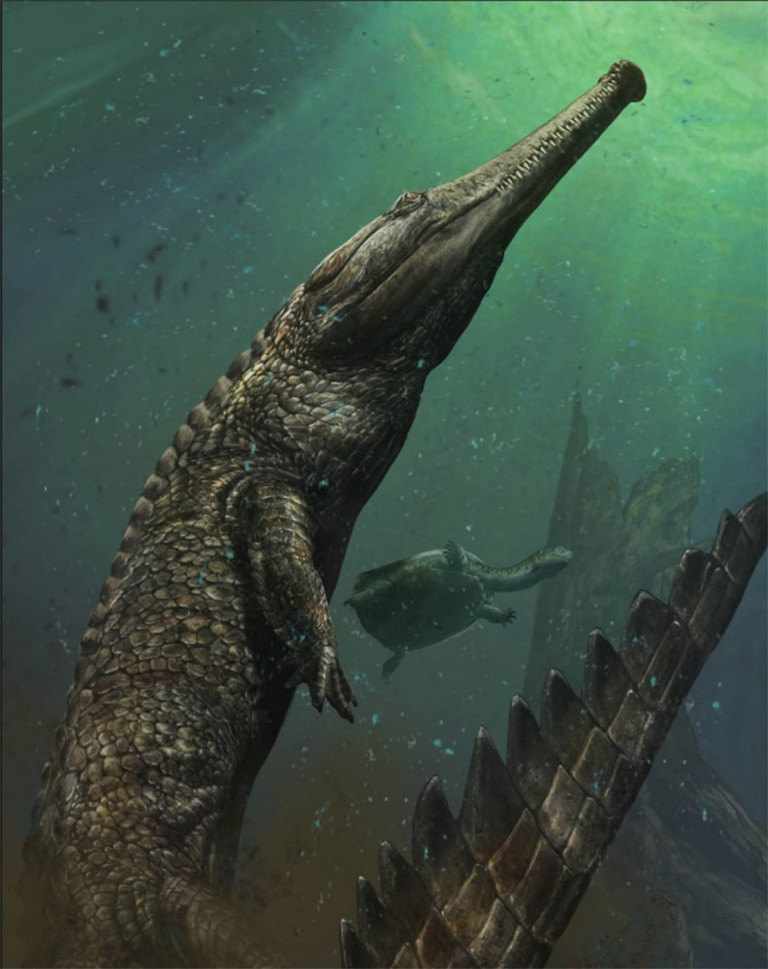 Suların T.rex’i insan boyunda kafatasına sahipti
