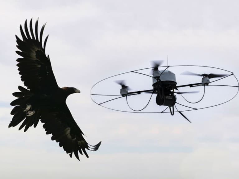eagle drone 1