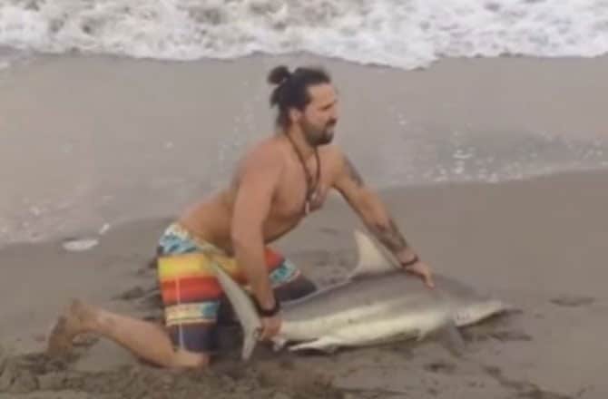 Selfie çekmek için köpekbalığını sudan çıkardı