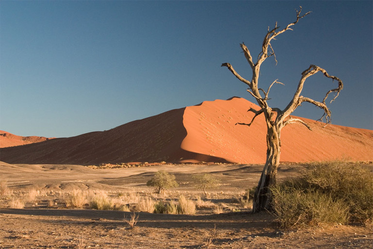 namibia wiki