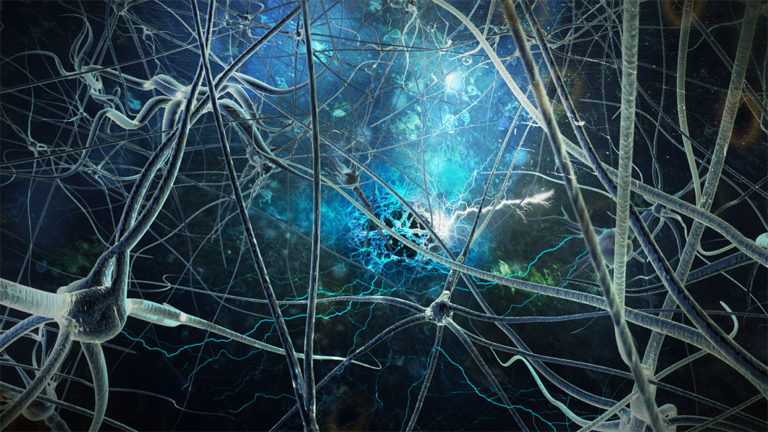 neurons