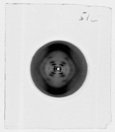 Dünyayı değiştiren 'Photo 51' ve Rosalind Franklin'in hikayesi