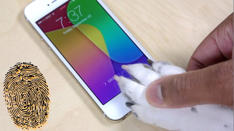 touch id dijitalx