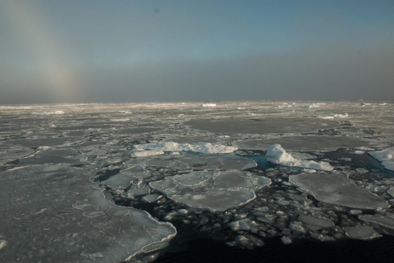 İklim değişikliğini tartışmakla meşgulken Artik’in yarısından fazlası yok oldu
