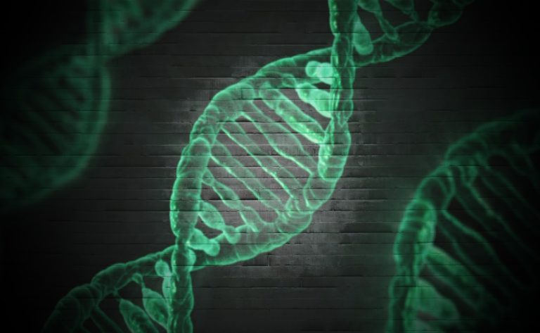 dna nadir hastalik genetik tip dijitalx pixabay