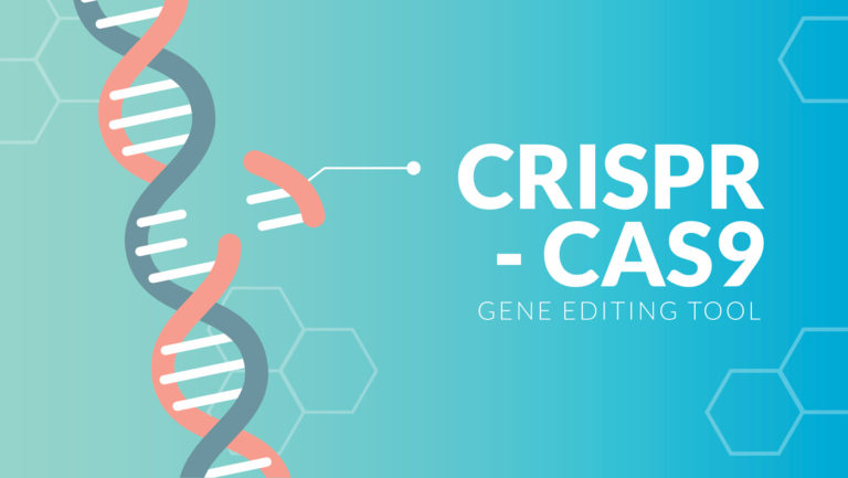 Mar1 2019 Getty 1128491841 CRISPR CAS9 1400