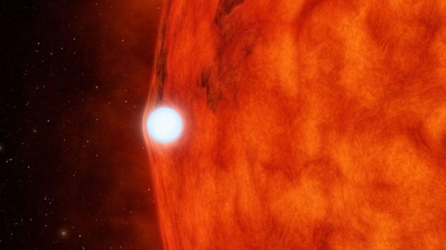 beyaz_cuce_aas_nova_nasa_dijitalx