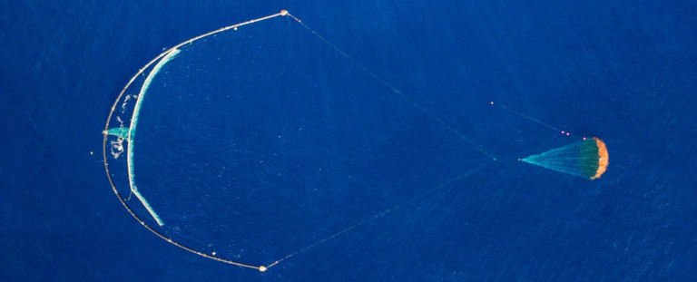 oceancleanup pasifik plastik dijitalx