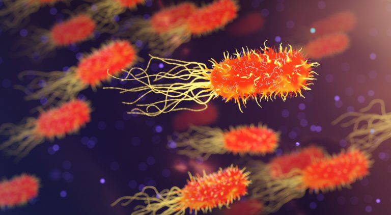 bakteri lee dijitalx gen tedavi nano