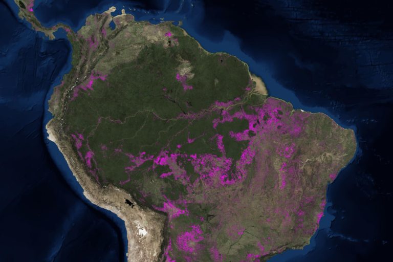 amazon forest natgeo nasa 0001