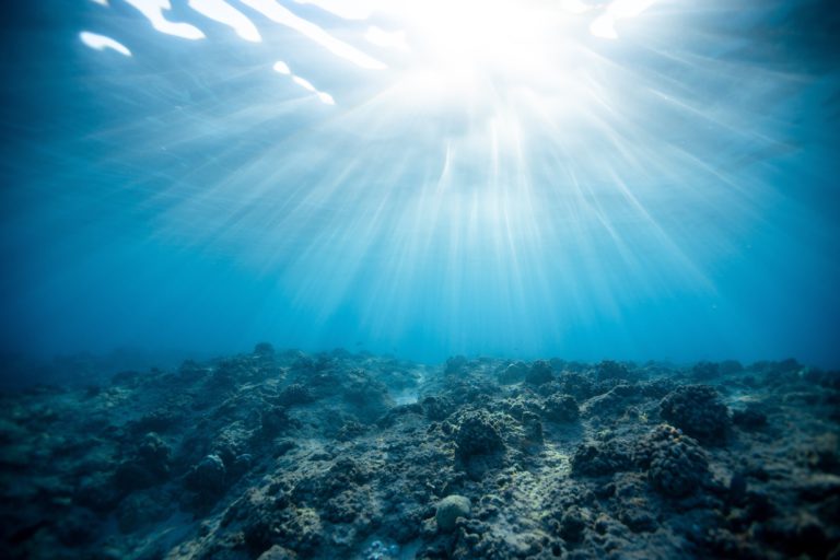 How Deep-sea mining destroys ocean floor?