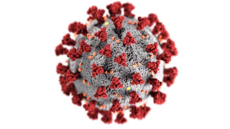 covid19 coronavirus dijitalx