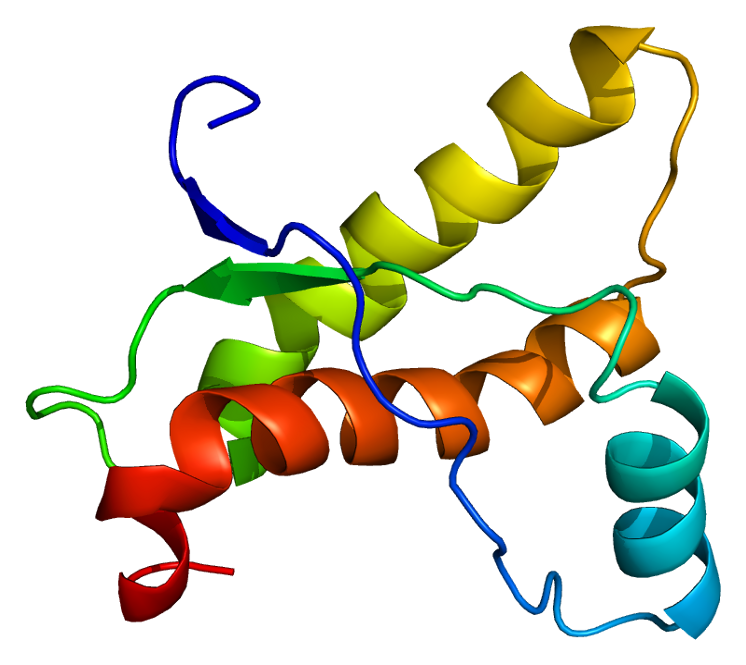 Protein PRNP PDB 1ag2 İnsomnia