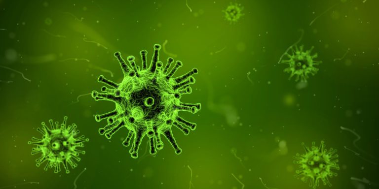 Virüs nedir? Virüslerin hayatımıza etkisi nedir?
