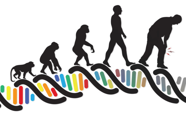 Evrim Hakkında Merak Edilenler – 1: Evrim Nedir?
