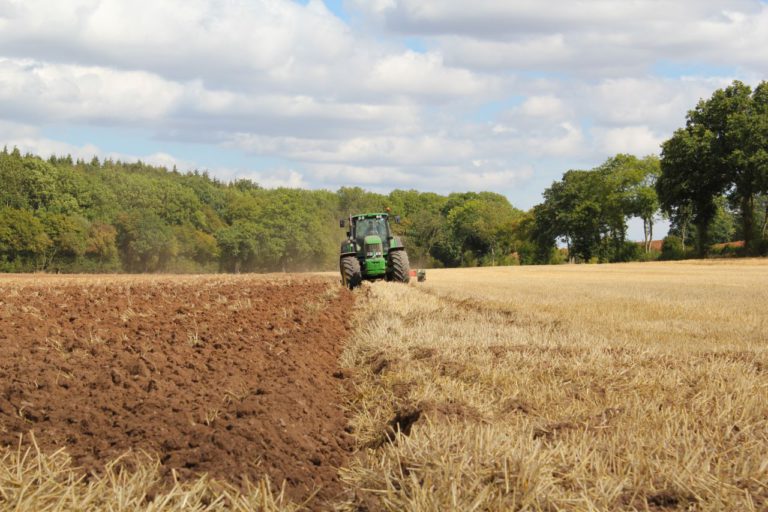 The Key To Solving The Increasing Food Problem: Fertilizer Industry