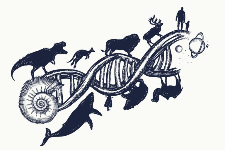 Evrim Hakkında Merak Edilenler – 4: Biyocoğrafya ve Moleküler Biyoloji