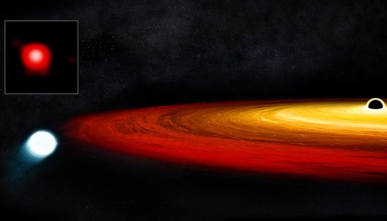 Bir Kara Deliğin Yörüngesinde Hapsolan Beyaz Cüce Keşfedildi