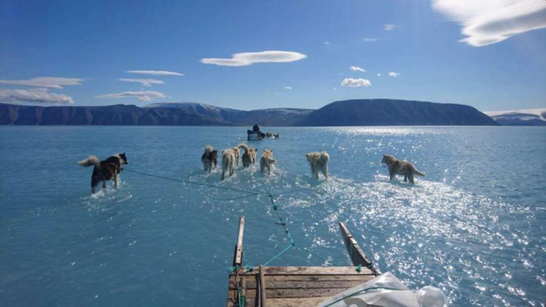 Grönland’ın Ne Kadar Hızlı Eridiğini Gösteren Korkutucu Fotoğraf