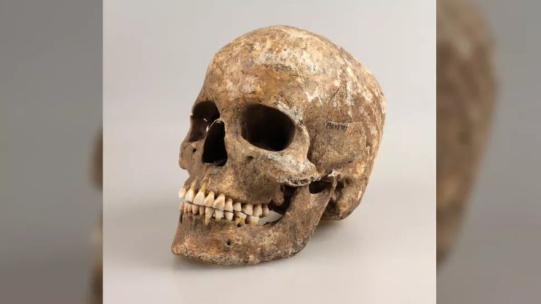 Bronz Çağı’nda yaşamış zengin kadının yüzü kafatası ve DNA’sı kullanılarak yeniden canlandırıldı