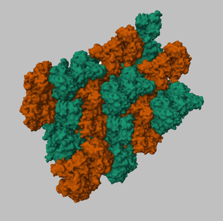 Dünya’nın İlk CRISPR Gen Düzenleme Terapisi Casgevy Onaylandı