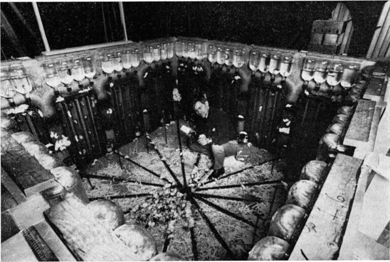 A Mirror to Today’s World: The Experiment “Universe 25”